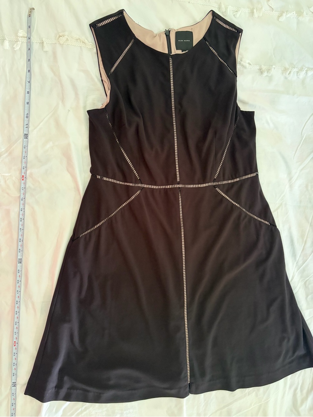 Alex Marie Black A-Line Dress with Contrast Trim